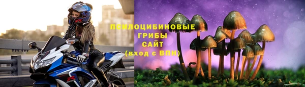 метадон Гусь-Хрустальный
