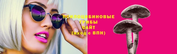 ALPHA PVP Гусиноозёрск