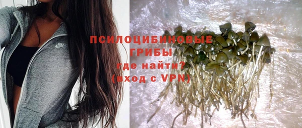 метадон Гусь-Хрустальный