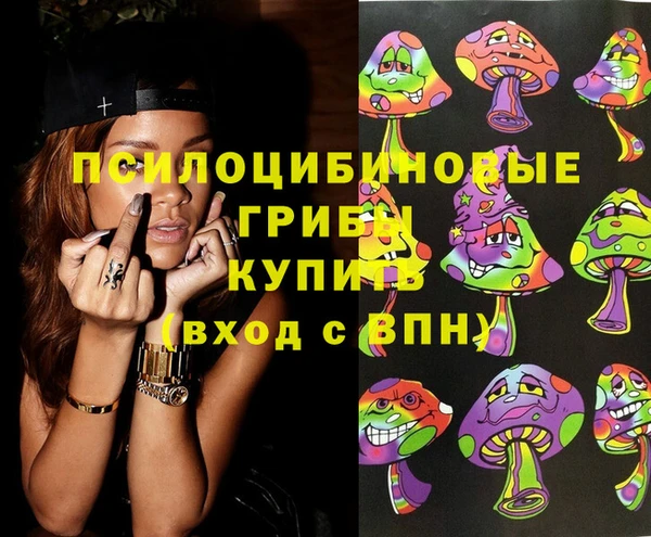 метадон Гусь-Хрустальный