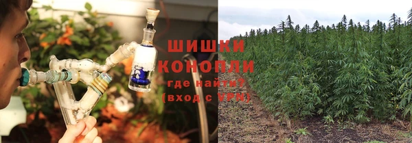 метадон Гусь-Хрустальный