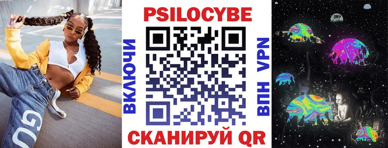 Псилоцибиновые грибы Psilocybe  Ермолино 